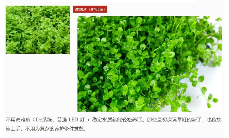屏幕截图_19-5-2026_155955_mp.weixin.qq_05