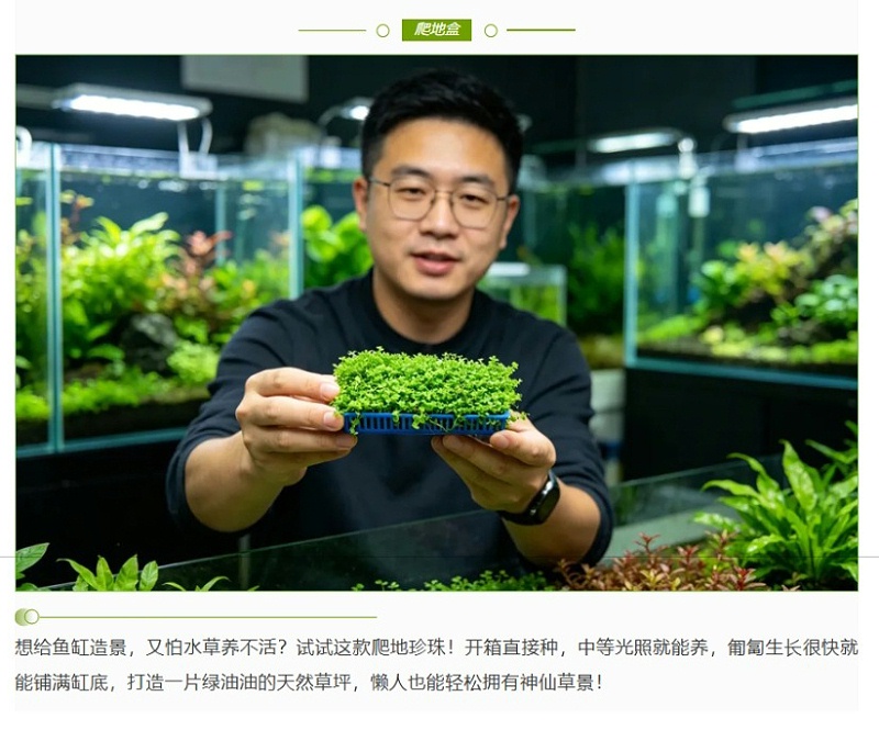 屏幕截图_19-5-2026_155955_mp.weixin.qq_07