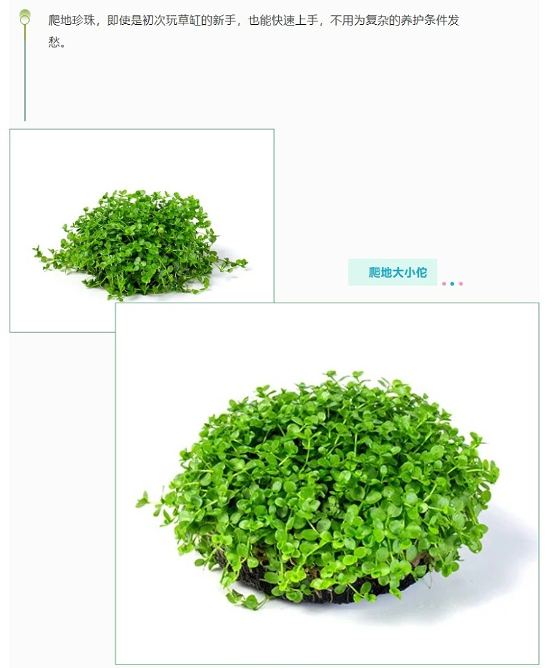 屏幕截图_19-5-2026_155955_mp.weixin.qq_10