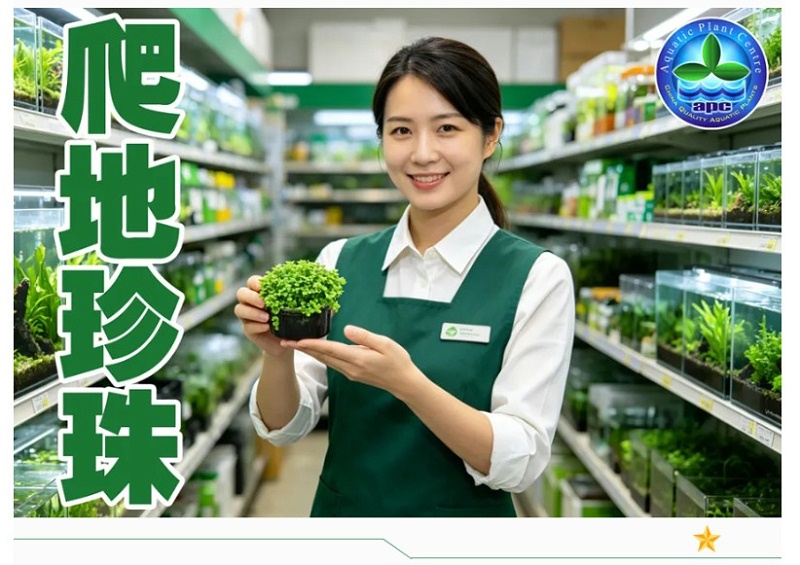 屏幕截图_19-5-2026_155955_mp.weixin.qq_02