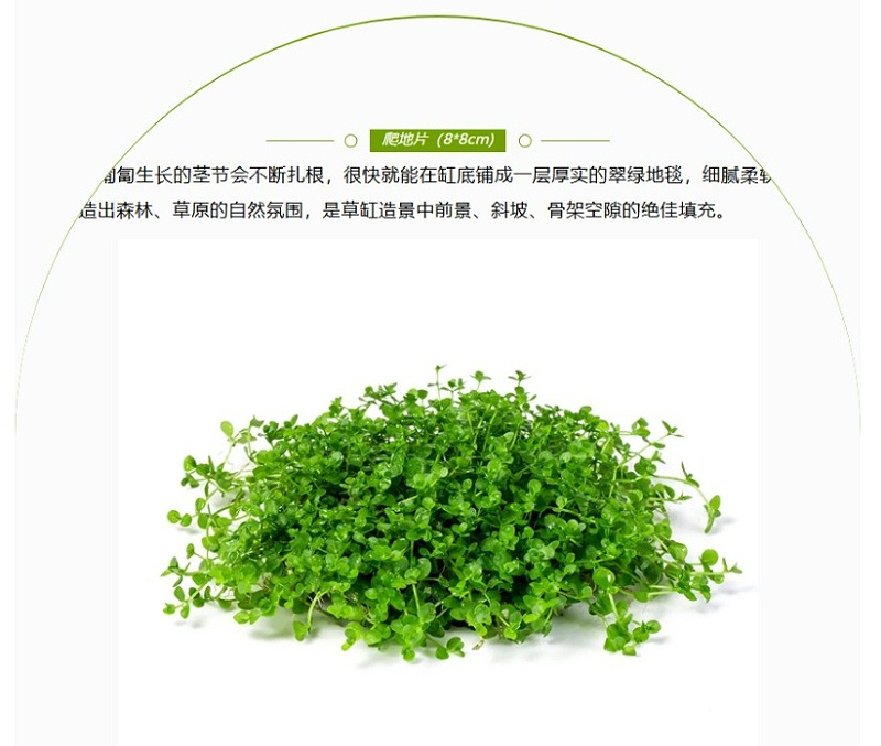 屏幕截图_19-5-2026_155955_mp.weixin.qq_04