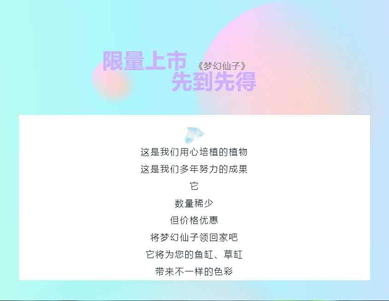 梦幻仙子：-亚格特2024年最新培植的水草精品-一株植物同时具有两种颜色_08