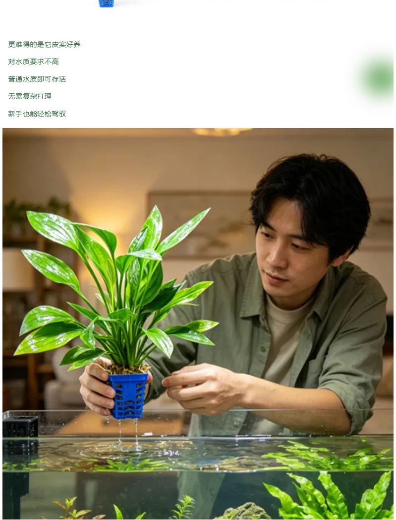 屏幕截图_18-4-2026_8227_mp.weixin.qq_05