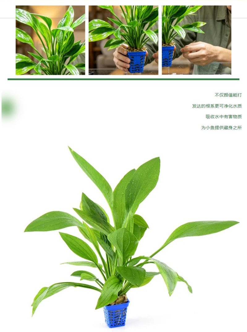 屏幕截图_18-4-2026_8227_mp.weixin.qq_06