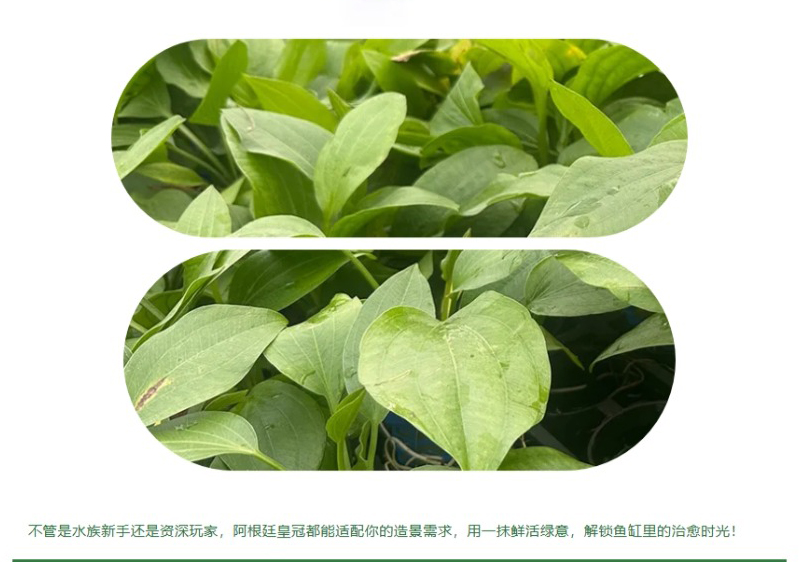 屏幕截图_18-4-2026_8227_mp.weixin.qq_07