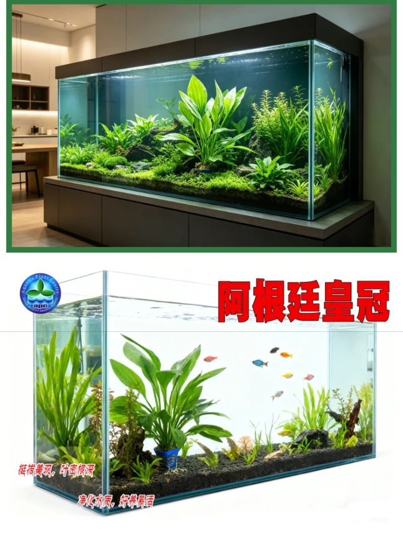 屏幕截图_18-4-2026_8227_mp.weixin.qq_08