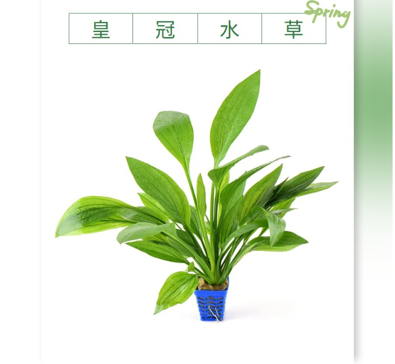 屏幕截图_18-4-2026_8227_mp.weixin.qq_02