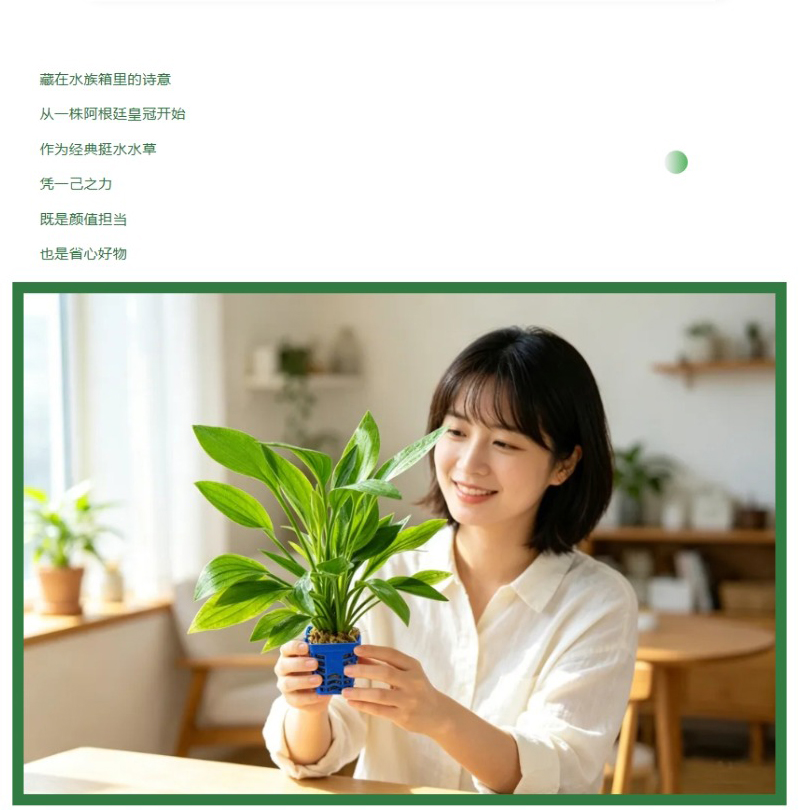 屏幕截图_18-4-2026_8227_mp.weixin.qq_03