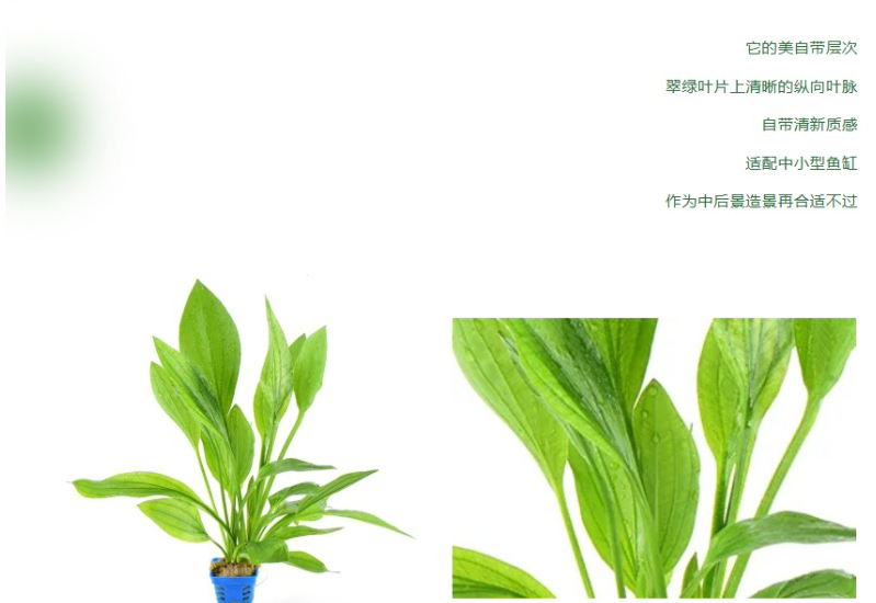 屏幕截图_18-4-2026_8227_mp.weixin.qq_04