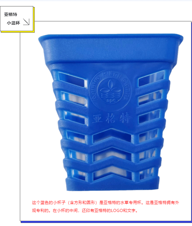 亚格特精品水草系列-：小蓝杯——高品质水草的代名词_04