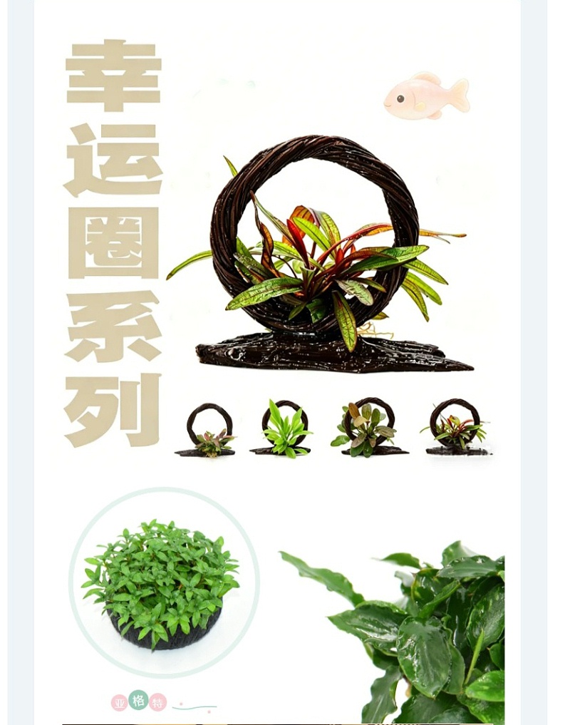 屏幕截图_8-5-2026_15342_mp.weixin.qq_05