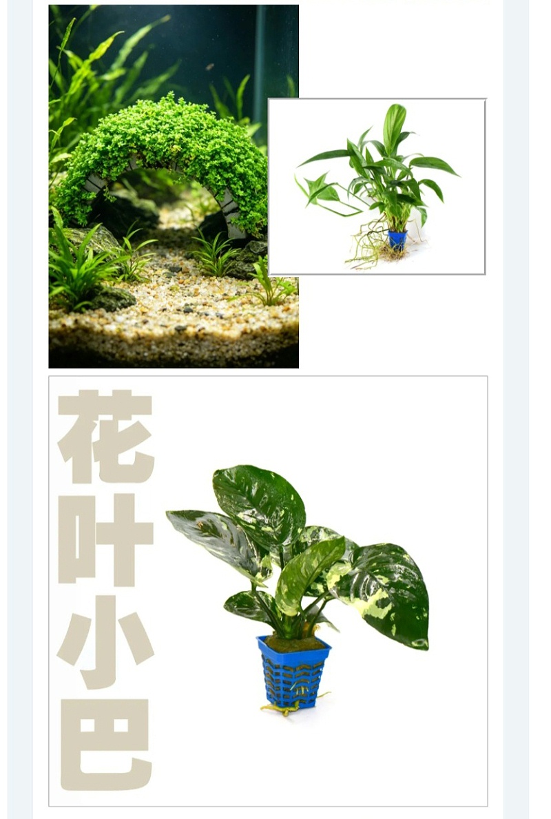 屏幕截图_8-5-2026_15342_mp.weixin.qq_10