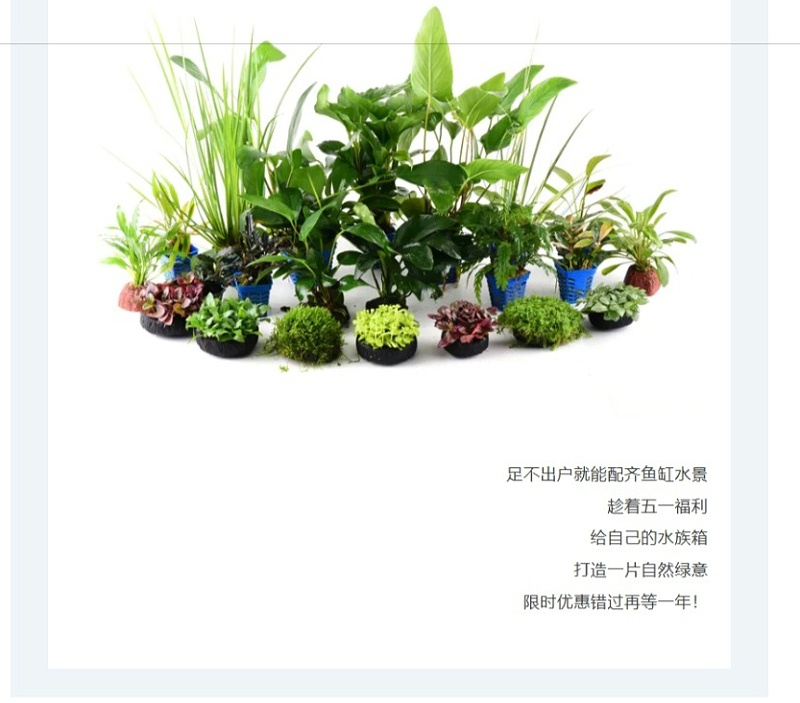 屏幕截图_8-5-2026_15342_mp.weixin.qq_11