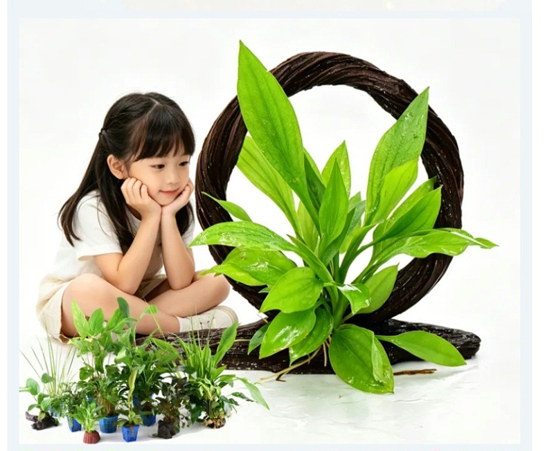 屏幕截图_8-5-2026_15342_mp.weixin.qq_03