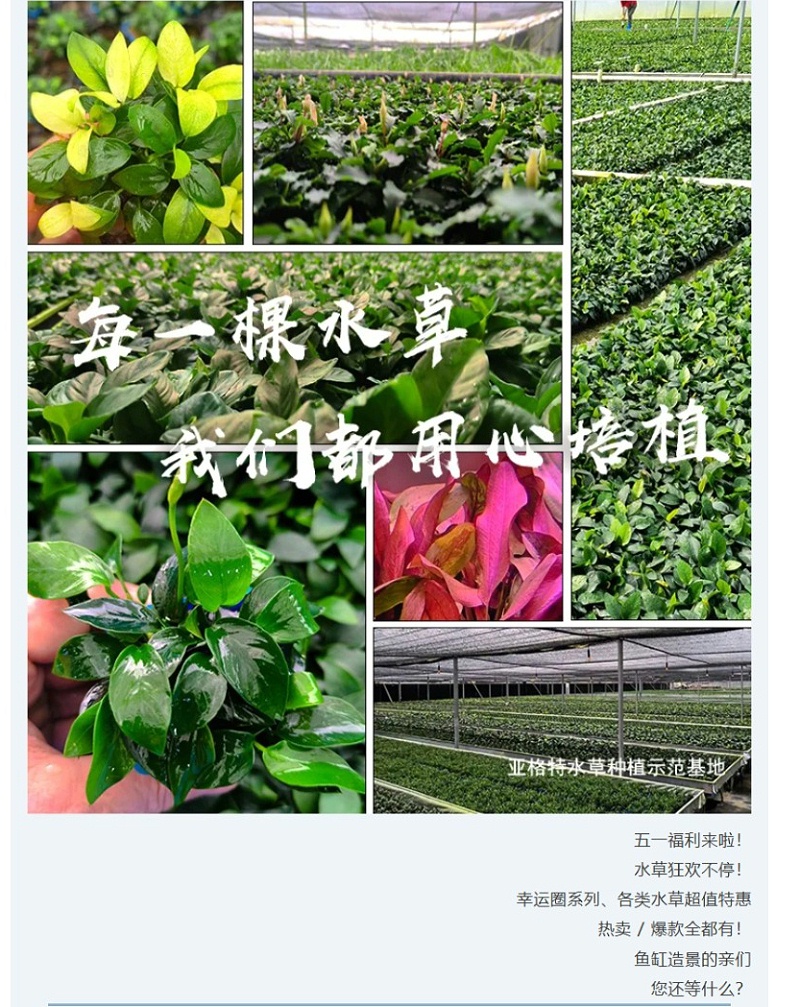 屏幕截图_8-5-2026_15342_mp.weixin.qq_04
