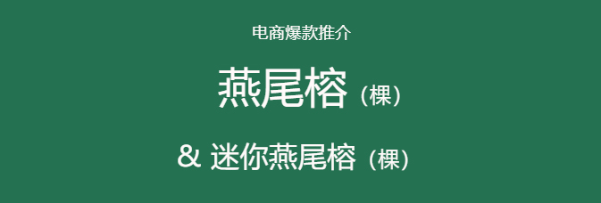 电商引流爆款水草在哪？在这里！！！_02