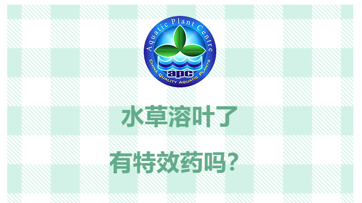 水草溶叶了有特效药吗？有，就在这里_01