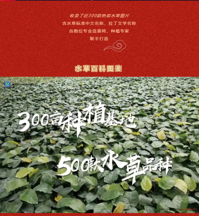 500本《水草百科》图鉴免费赠送，先到先得，送完即止！！_02
