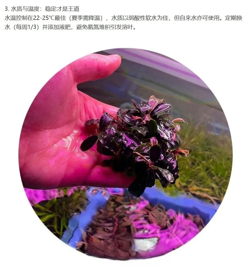 屏幕截图_6-4-2025_143119_mp.weixin.qq_05
