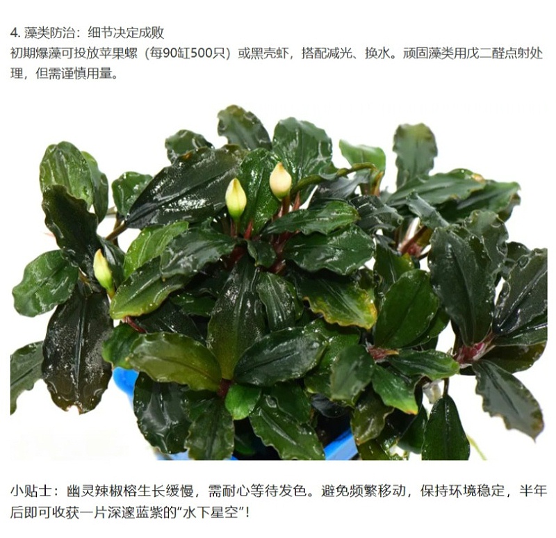 屏幕截图_6-4-2025_143119_mp.weixin.qq_06