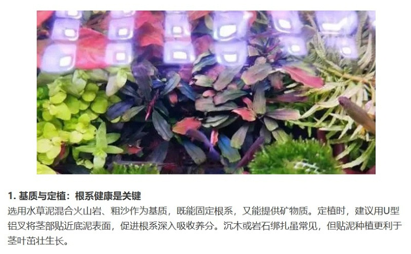 屏幕截图_6-4-2025_143119_mp.weixin.qq_02