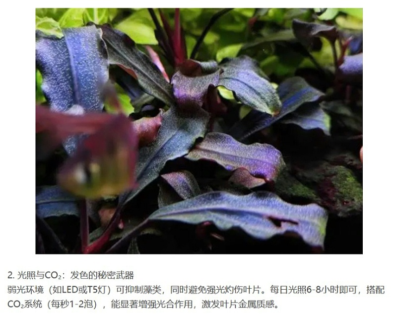 屏幕截图_6-4-2025_143119_mp.weixin.qq_03