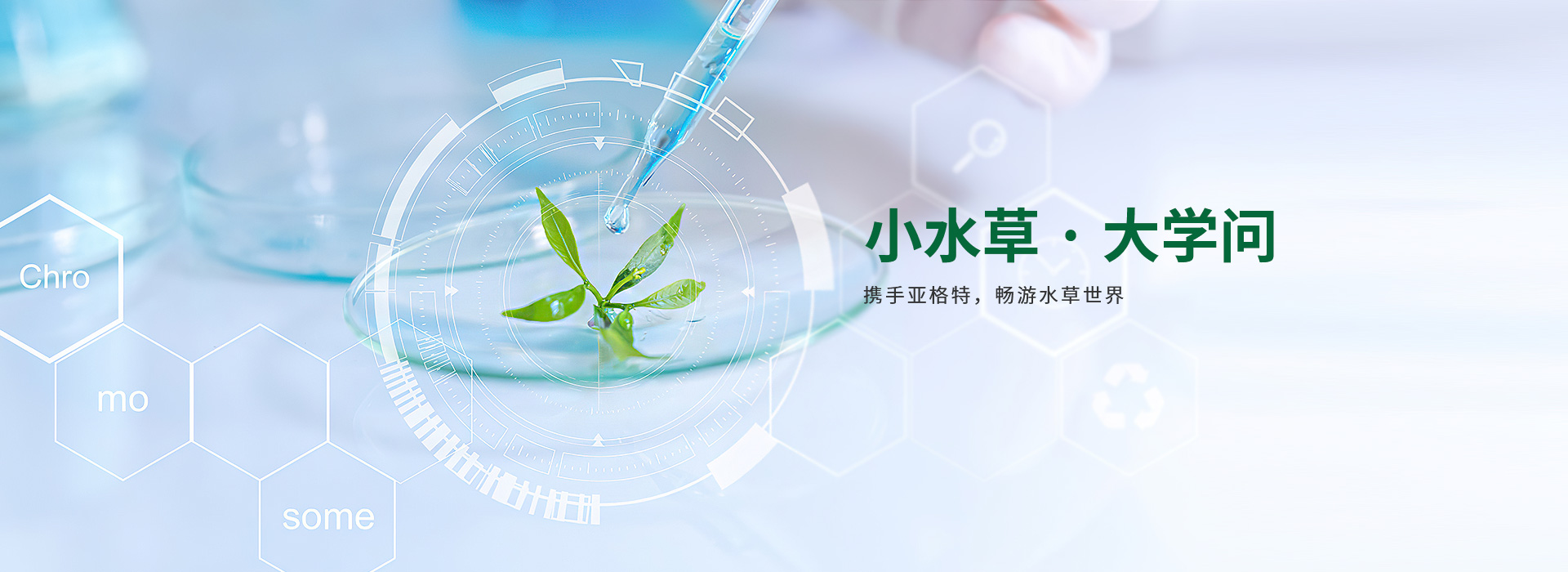 亚格特-小水草·大学问 携手亚格特,畅游水草世界