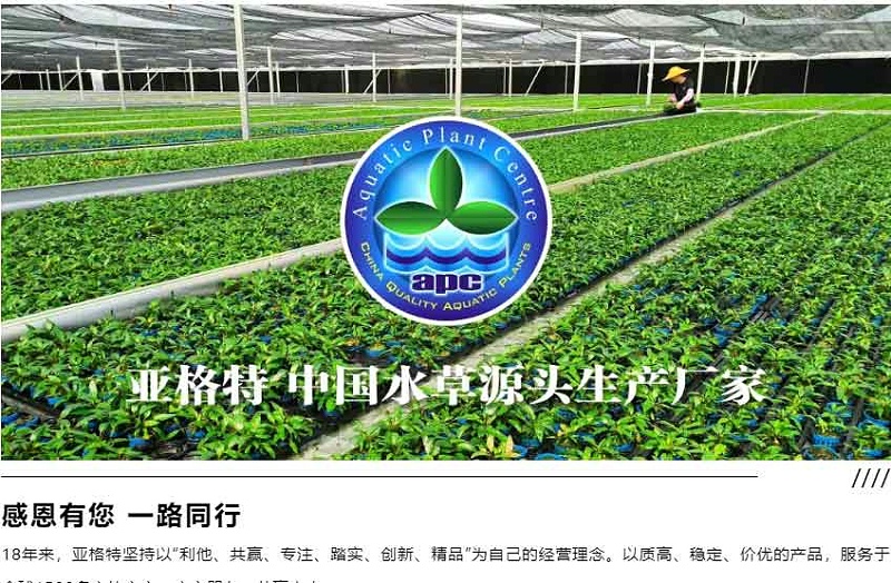 第28届中国国际宠物水族展览会：亚格特最新《水草百科》图鉴免费赠送_05