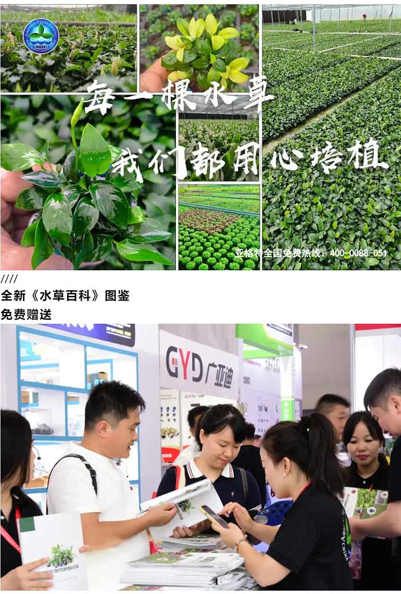 第28届中国国际宠物水族展览会：亚格特最新《水草百科》图鉴免费赠送_11